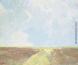 Marsh Landschaft Marsh Landschaft