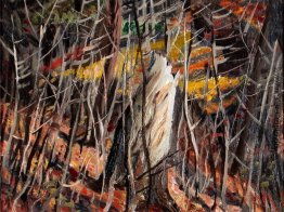 Wald im Herbst Wald im Herbst