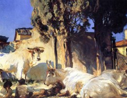 Oxen Resting Oxen Resting