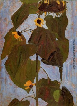 Sonnenblume Sonnenblume