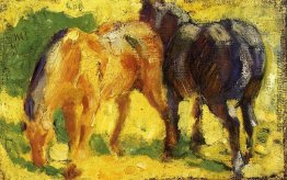 Kleines Pferd Bild Kleines Pferd Bild