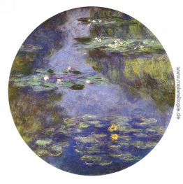 Wasserlilien Wasserlilien