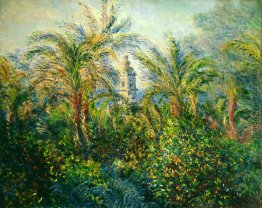 Garten in Bordighera, Eindruck von Morgen Garten in Bordighera, Eindruck von Morgen