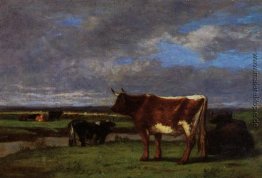 Kühe in der Nähe der Toques Kühe in der Nähe der Toques