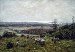 Landschaft Landschaft