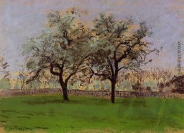 Äpfel Bäume bei Pontoise Äpfel Bäume bei Pontoise