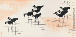 Wasservögel Wasservögel