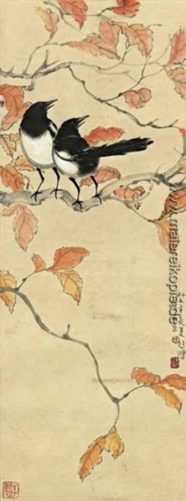 Magpies auf einem Ast Magpies auf einem Ast