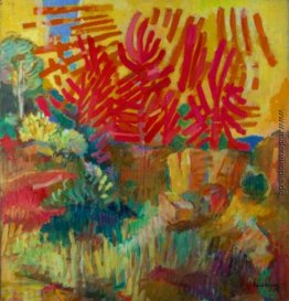 Kiefern und Felsen im Abendlicht Kiefern und Felsen im Abendlicht