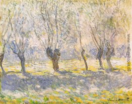 Willows, Giverny Willows, Giverny
