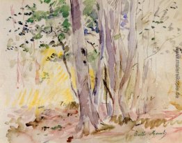 Bois de Boulogne Bois de Boulogne