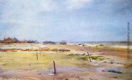 Shore Scene Shore Scene