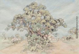 Landschaft mit Bäumen und fernen Land Landschaft mit Bäumen und fernen Land