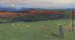 Ein Feld mit Abbildung Ein Feld mit Abbildung