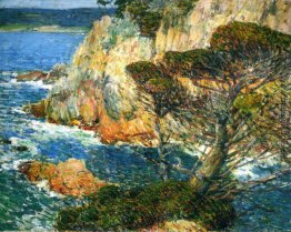 Point Lobos, Carmel Point Lobos, Carmel