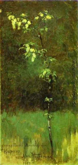 Ein Baum in der Blüte Ein Baum in der Blüte