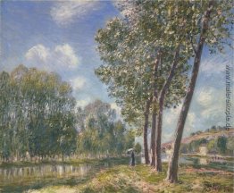 Frühlingssonne auf dem Loing Frühlingssonne auf dem Loing