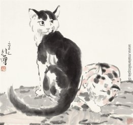 Zwei Katzen Zwei Katzen