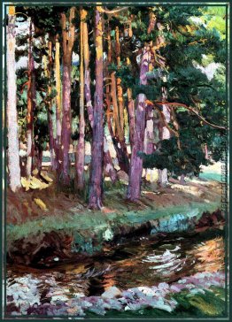 Der Fluss la Reina Valsain Der Fluss la Reina Valsain