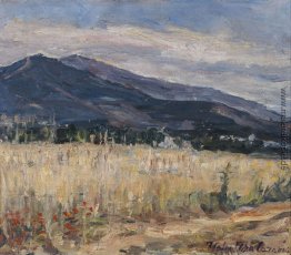 Landschaft Landschaft