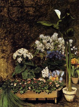 Frühlingsblumen Frühlingsblumen