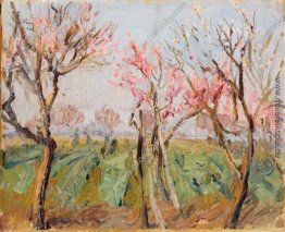 Garten in der Nähe von Rom. Peaches in voller Blüte. Garten in der Nähe von Rom. Peaches in voller Blüte.