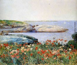 Poppies, Isles of Shoals Poppies, Isles of Shoals