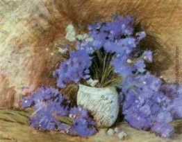 Kornblumen Kornblumen