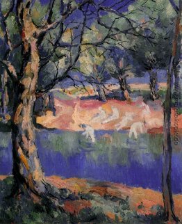 Fluss im Wald Fluss im Wald