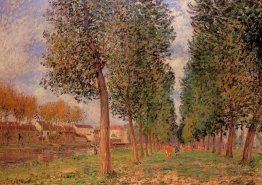 Das Poplar Avenue bei Moret, bewölkter Tag, Morgen Das Poplar Avenue bei Moret, bewölkter Tag, Morgen