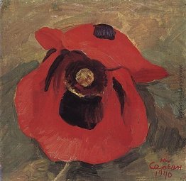 Mohn Mohn
