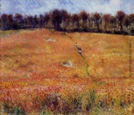 Pfad durch das hohe Gras Pfad durch das hohe Gras