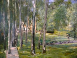 Birch wachsen Birch wachsen