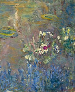 Wasserlilien Wasserlilien