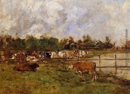 Kühe auf der Wiese Kühe auf der Wiese