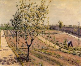Kitchen Garden, Petit Gennevilliers Kitchen Garden, Petit Gennevilliers