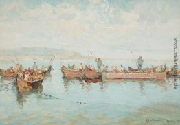 Netze in Tulcea Netze in Tulcea