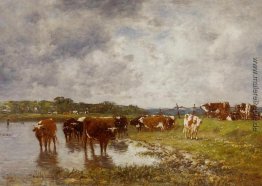 Kühe auf einer Wiese am Ufer der Toques Kühe auf einer Wiese am Ufer der Toques