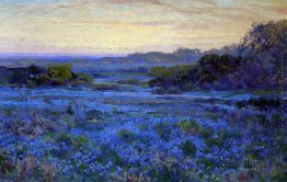 Bluebonnet-Szene Bluebonnet-Szene