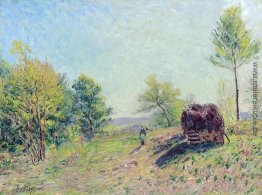 Der Waldrand Der Waldrand