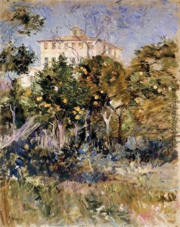 Villa mit Orangenbäumen, Nizza Villa mit Orangenbäumen, Nizza
