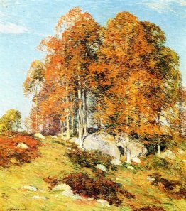 Anfang Oktober Anfang Oktober