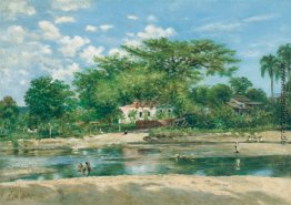 La Ceiba de Ponce La Ceiba de Ponce