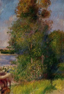 Landschaft Landschaft