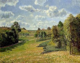 Berneval Meadows, Morgen Berneval Meadows, Morgen