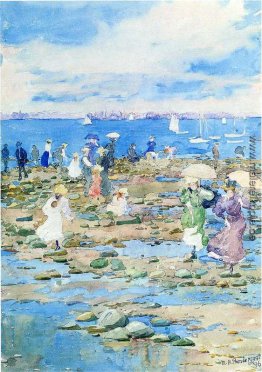 Sommer-Besucher Sommer-Besucher