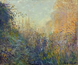 Study Rushes in Argenteuil Study Rushes in Argenteuil
