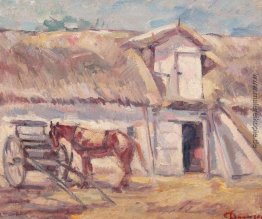 FATA şopronului FATA şopronului