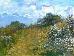 Springtime Springtime