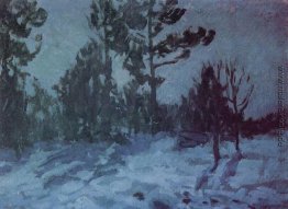 Winter Night Winter Night